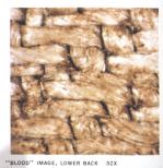 Le sang sur le linceul de turin Le sang sur le linceul de turin