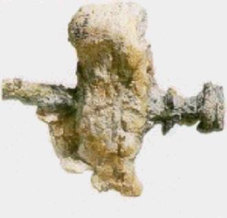 le pied cloué pour une crucifixion le pied cloué pour une crucifixion