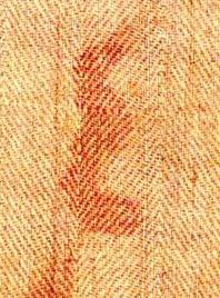 Une coulée de sang sur le front Une coulée de sang sur le front